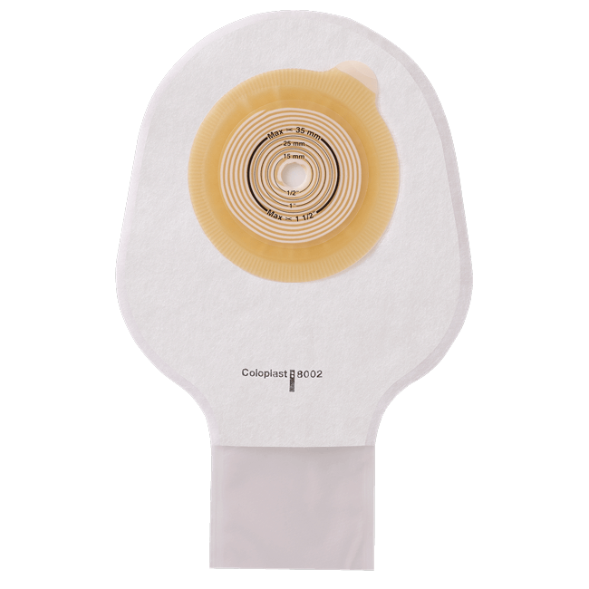 アシュラ キッズ１スタンダード