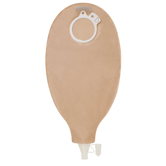 センシュラ2 イレオ